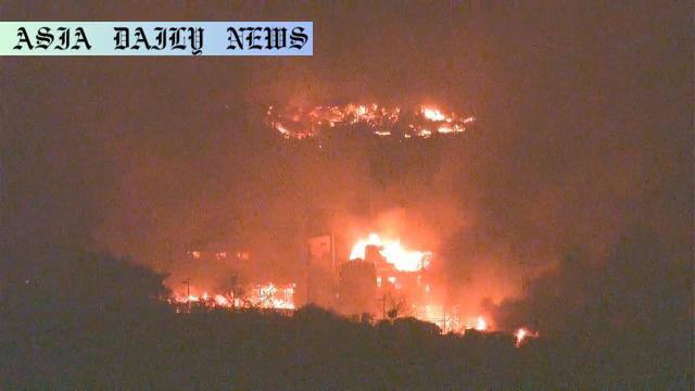 Devastating Forest Fire Rages Across 600 Hectares in Iwate