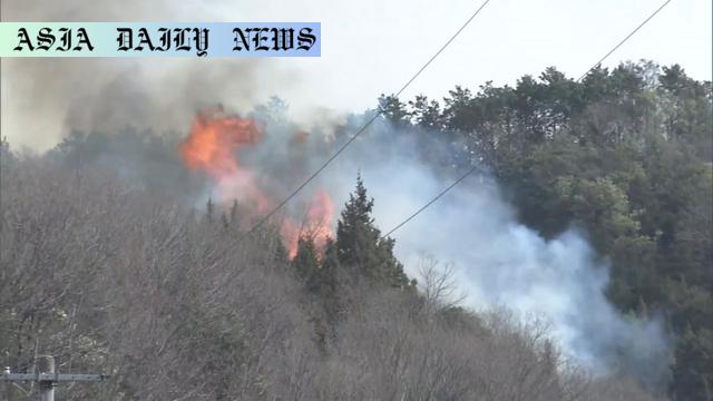 Urgent Warning: Top Causes of Wildfires in Japan (416 Cases)