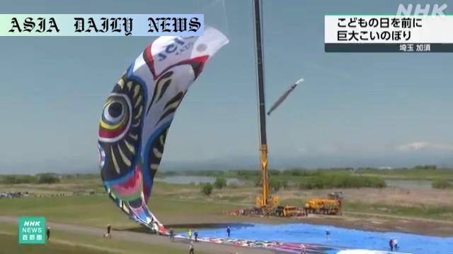 Delightful 100-Meter Koinobori Streamer Celebrates Children's Day