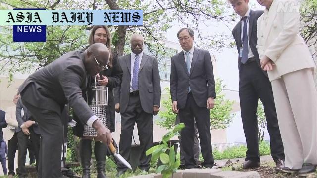 Hiroshima’s Resilient Saplings: A Symbolic Step Towards Nuclear Disarmament