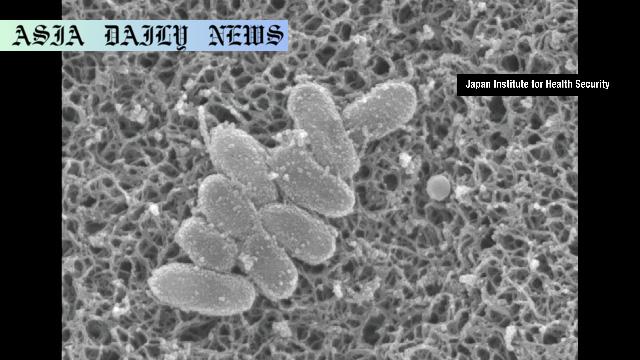 Alarming Surge: 292 New Whooping Cough Cases Reported in Japan