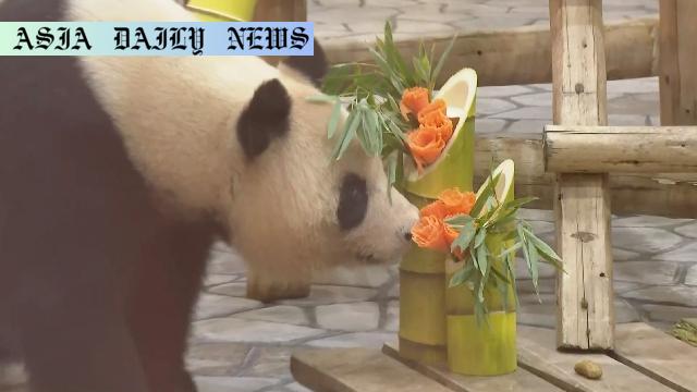 Celebrating Rauhin: Heartwarming Farewell to Beloved Zoo Mom