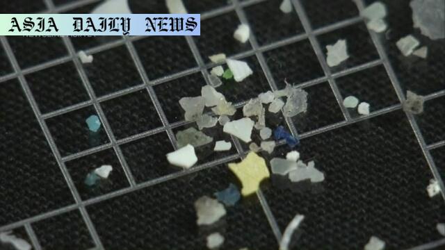 Shocking Spread: 5 Insights Into Microplastics Impact