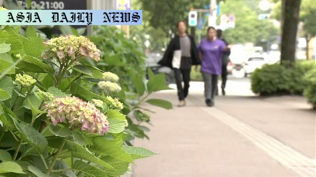Surprising Early Rainy Season: 14 Days Ahead of Schedule