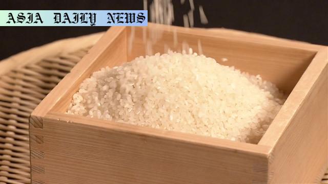 Transforming Rice Prices: Ambitious Proposal Targets 50% Drop