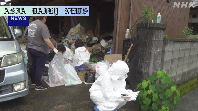 Tragic Discovery: Over 100 Cats Found Dead in Japan