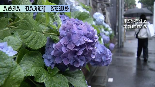 Remarkable Rain Update: 12-Day Advance in Hokuriku