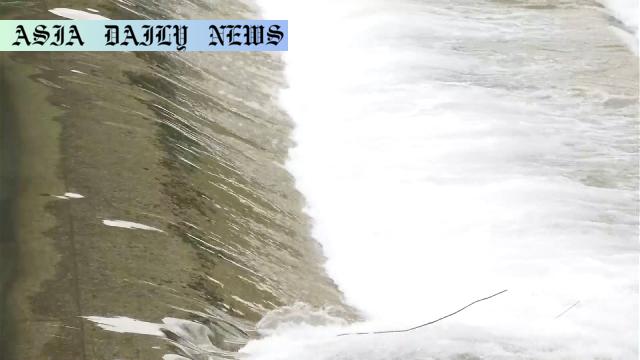Shocking 10-Year High: Alarming Spike in Drownings Reported in Japan