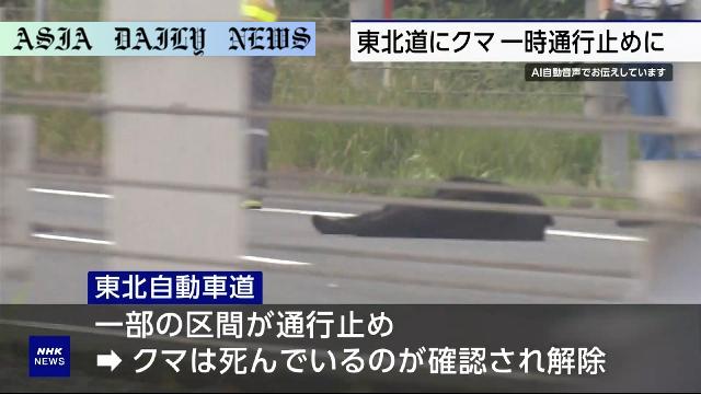 Shocking Incident: Bear Causes Expressway Closure for 2 Hours
