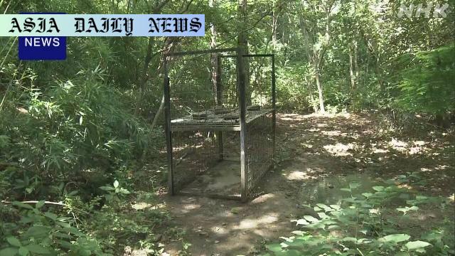 Tragic Boar Attack: Shocking Deaths of Two Men Discovered