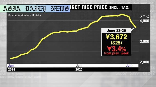 Sharp Drop: Japan's Rice Prices Hit 5-Month Low
