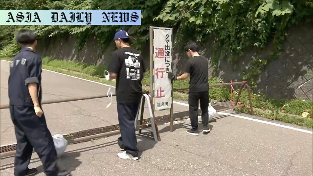 Urgent Measures: Deadly Bear Attack in Hokkaido Leaves One Dead
