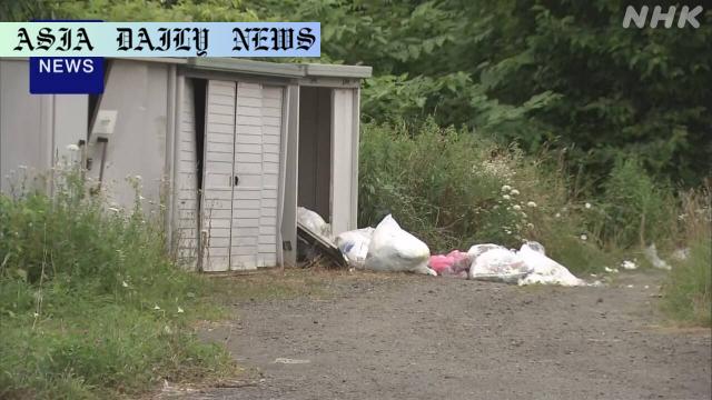 Deadly Brown Bear Attack: 3 Safety Tips for Residents