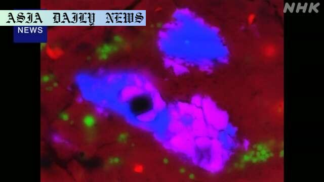 Asteroid Discovery: Remarkable Oldest Rocks in Solar System